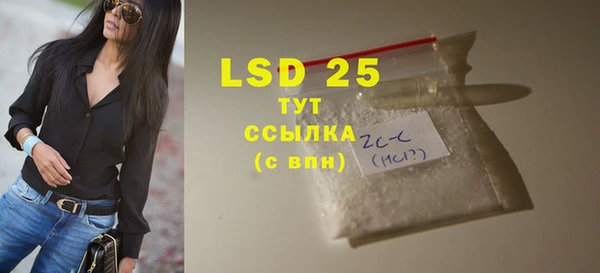 гашик Горняк
