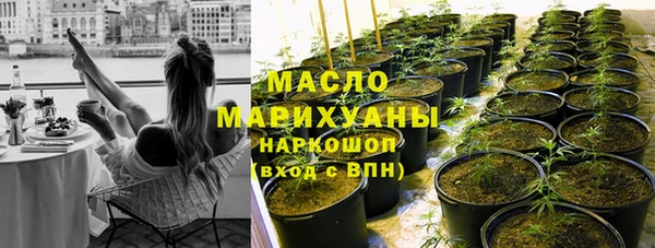мяу мяу мука Гусь-Хрустальный