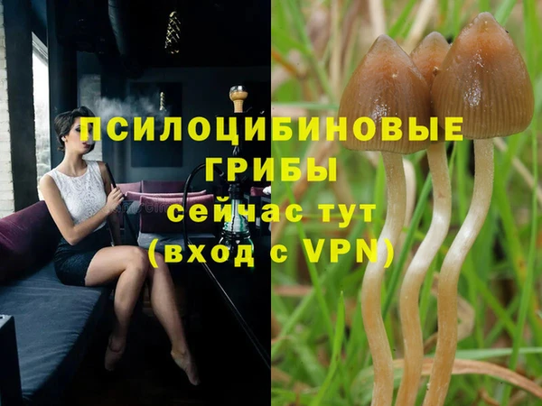 гидра Сосновый Бор