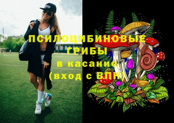 гашик Горняк