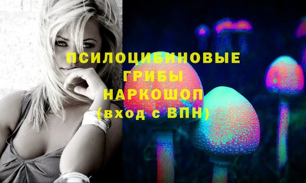 мяу мяу мука Гусь-Хрустальный
