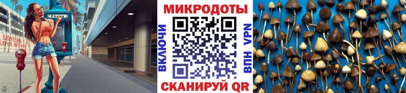 купить   Кольчугино  Галлюциногенные грибы ЛСД 