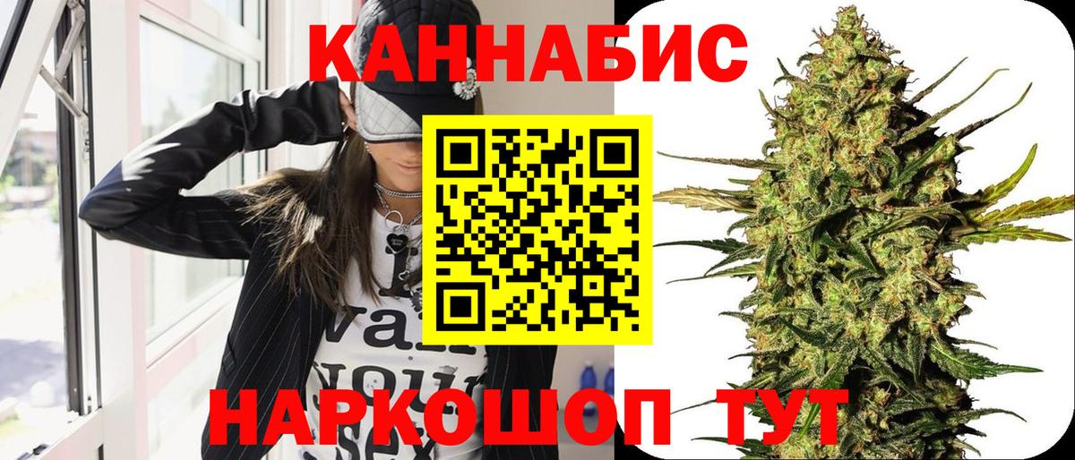 Конопля MAZAR Кольчугино